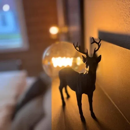 Apartmán Zur Linde - Ski-in&out - - 8 Guests