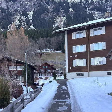 Apartmán Zur Linde - Ski-in&out - - 8 Guests *